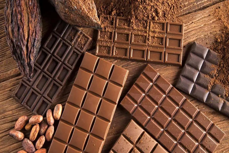 مسحوق كاكاو عضوي أوربية