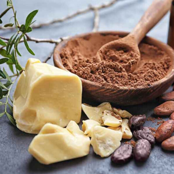 زبدة كاكاو عضوية – دهون طبيعية للشكولاتة