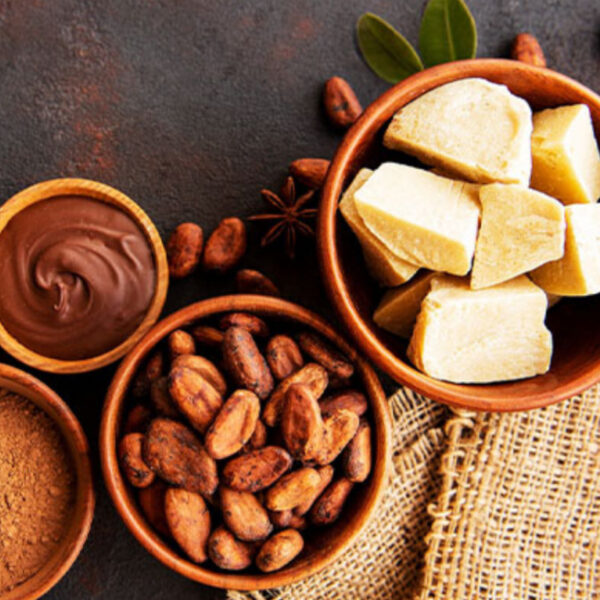 زبدة كاكاو عضوية – دهون طبيعية للشكولاتة