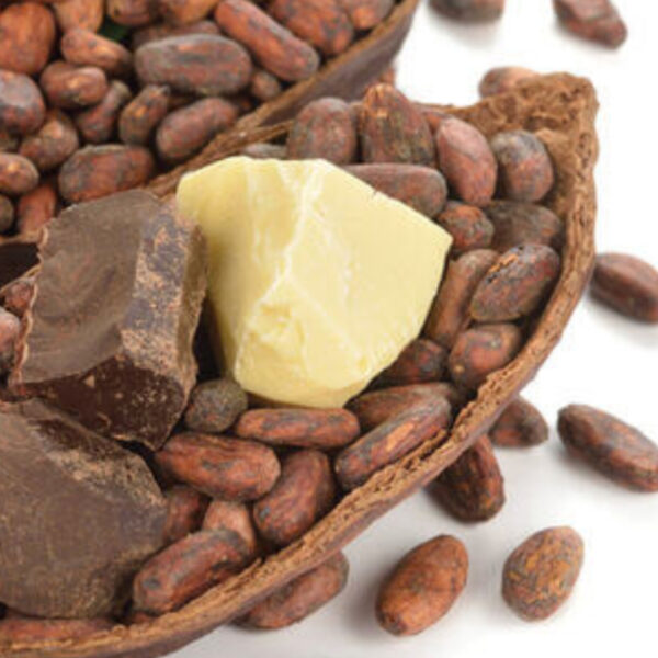 زبدة كاكاو عضوية – دهون طبيعية للشكولاتة