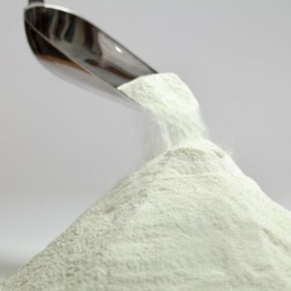 مسحوق اللبن العضوي – مكمل طبيعي للكوكيز في الإمارات