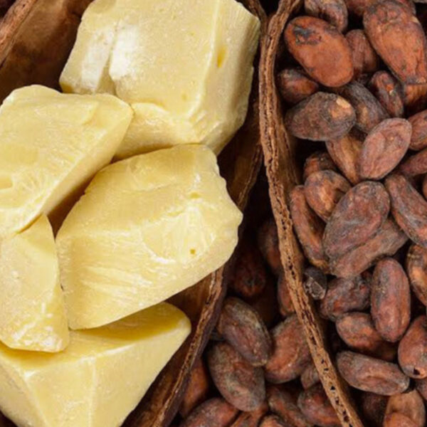 دهون خاصة بالشكولاتة – أفضل دهون للمنتجات الفاخرة في السعودية