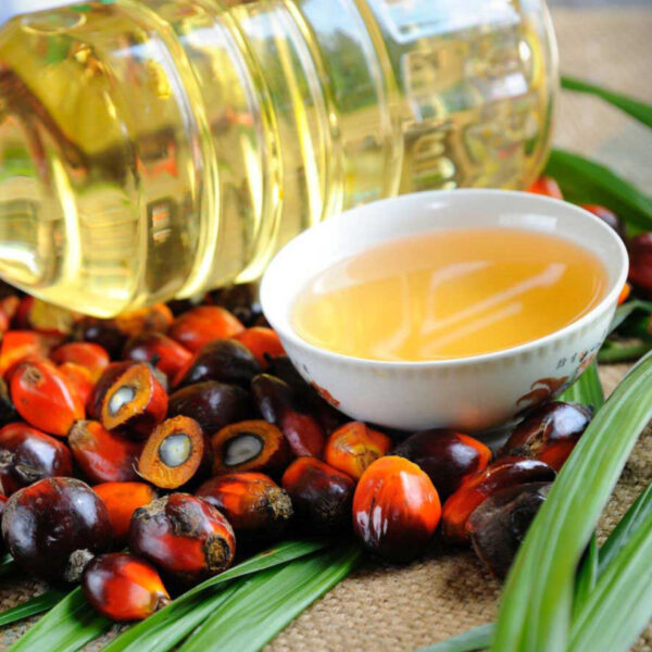 أسعار زيت النخيل في سوريا