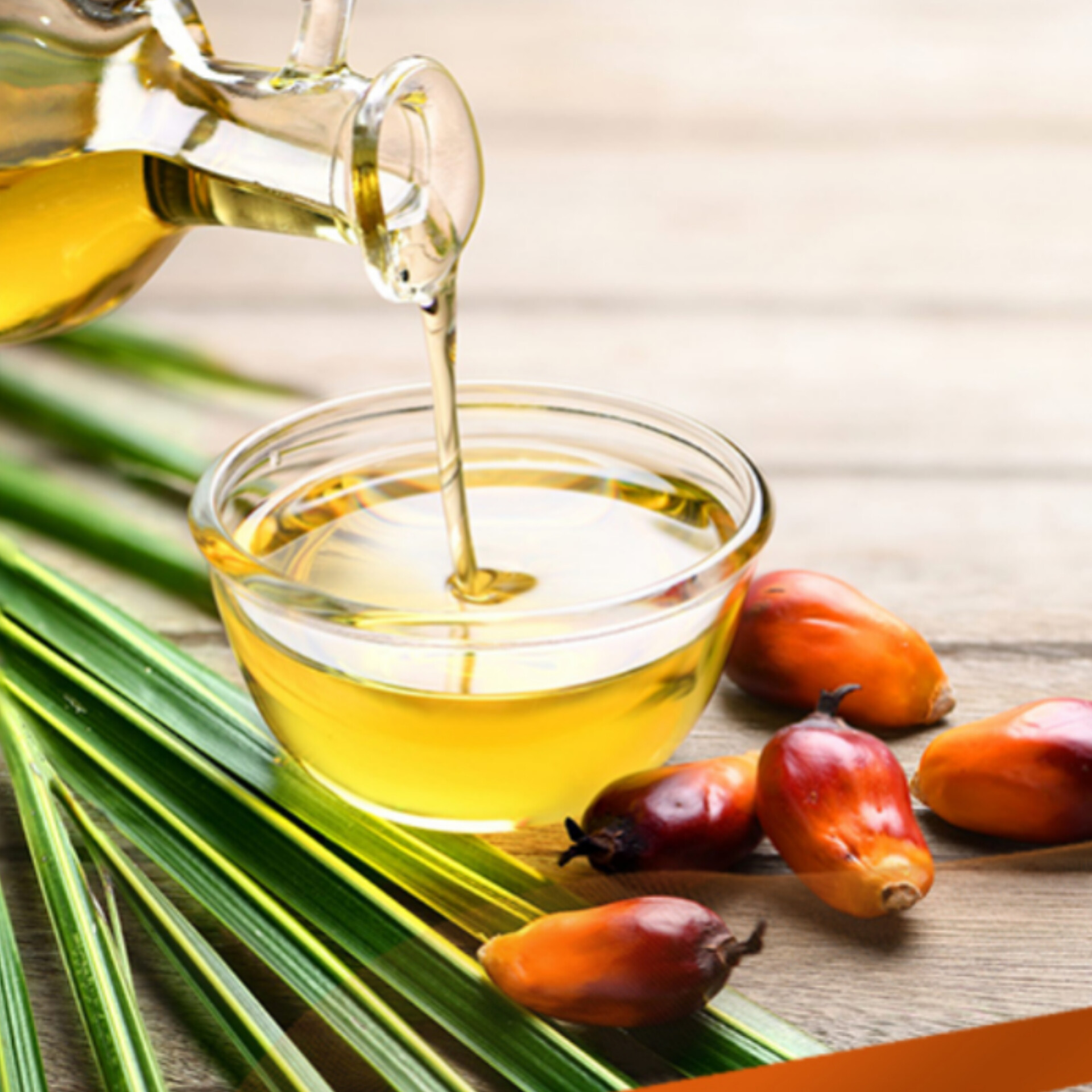 أسعار زيت النخيل في سوريا