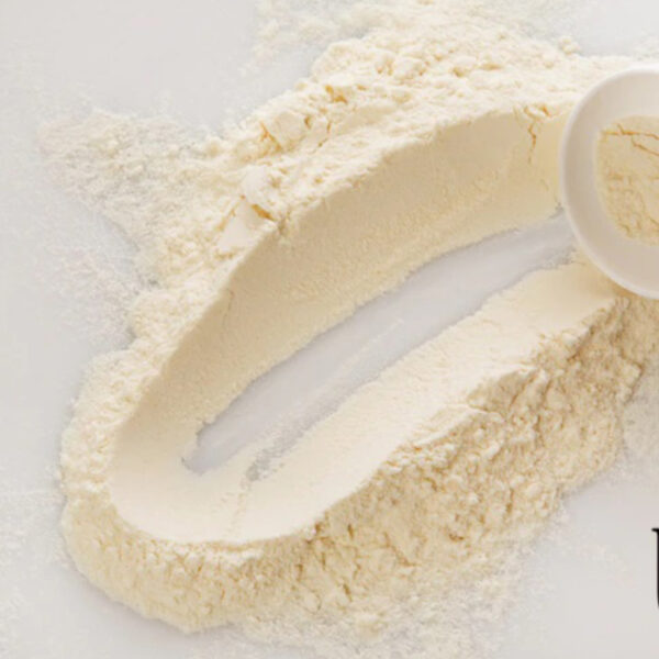 أسعار مسحوق مصل اللبن الصناعي في الجزائر