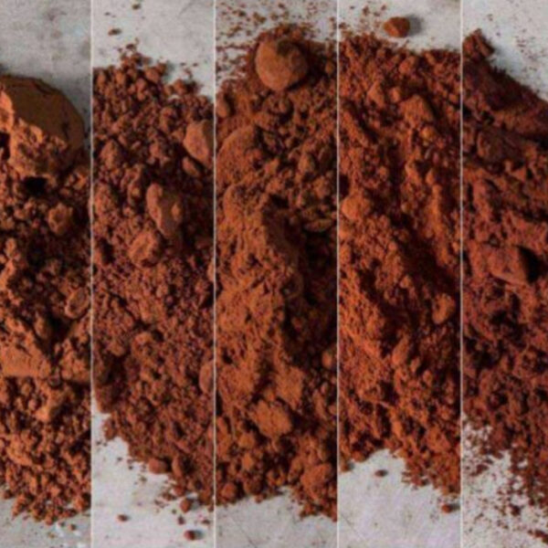 كيفية تخزين مسحوق الكاكاو للحفاظ على جودته.