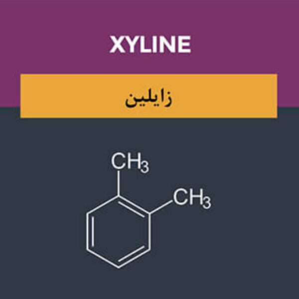 شراء زایلین وتولوئن نقي للمصانع المصرية