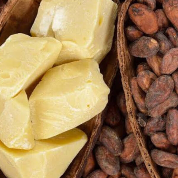 زبدة كاكاو خام للاستيراد إلى فلسطين