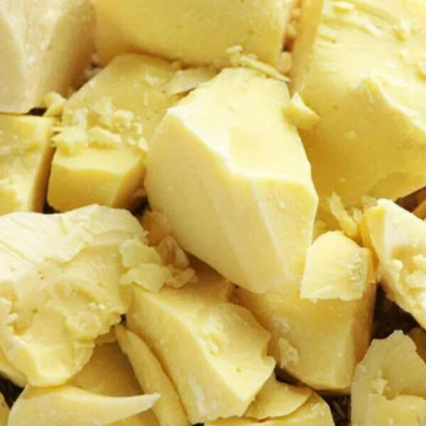 CBR اقتصادي للورش المحلية بفلسطين