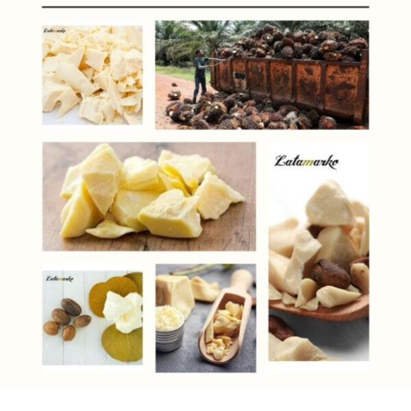 CBR مناسب للمعجنات في فلسطين