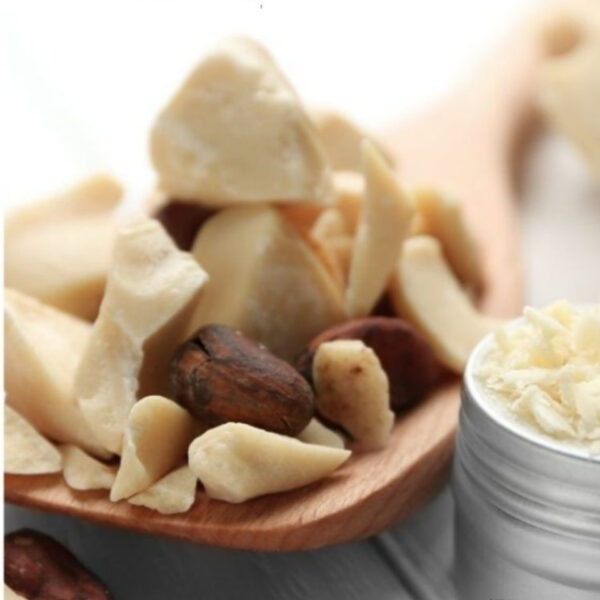 زبدة كاكاو عالية الانصهار لفلسطين