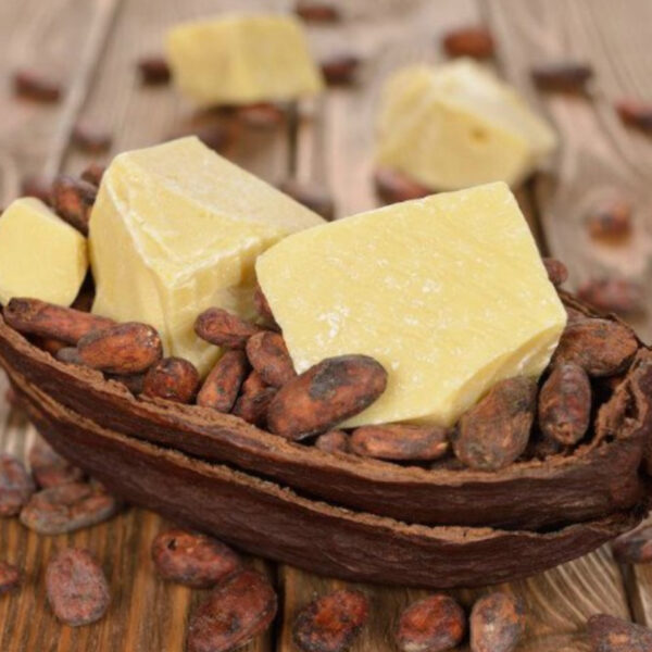 CBS ممتاز للمعامل الصغيرة بفلسطين