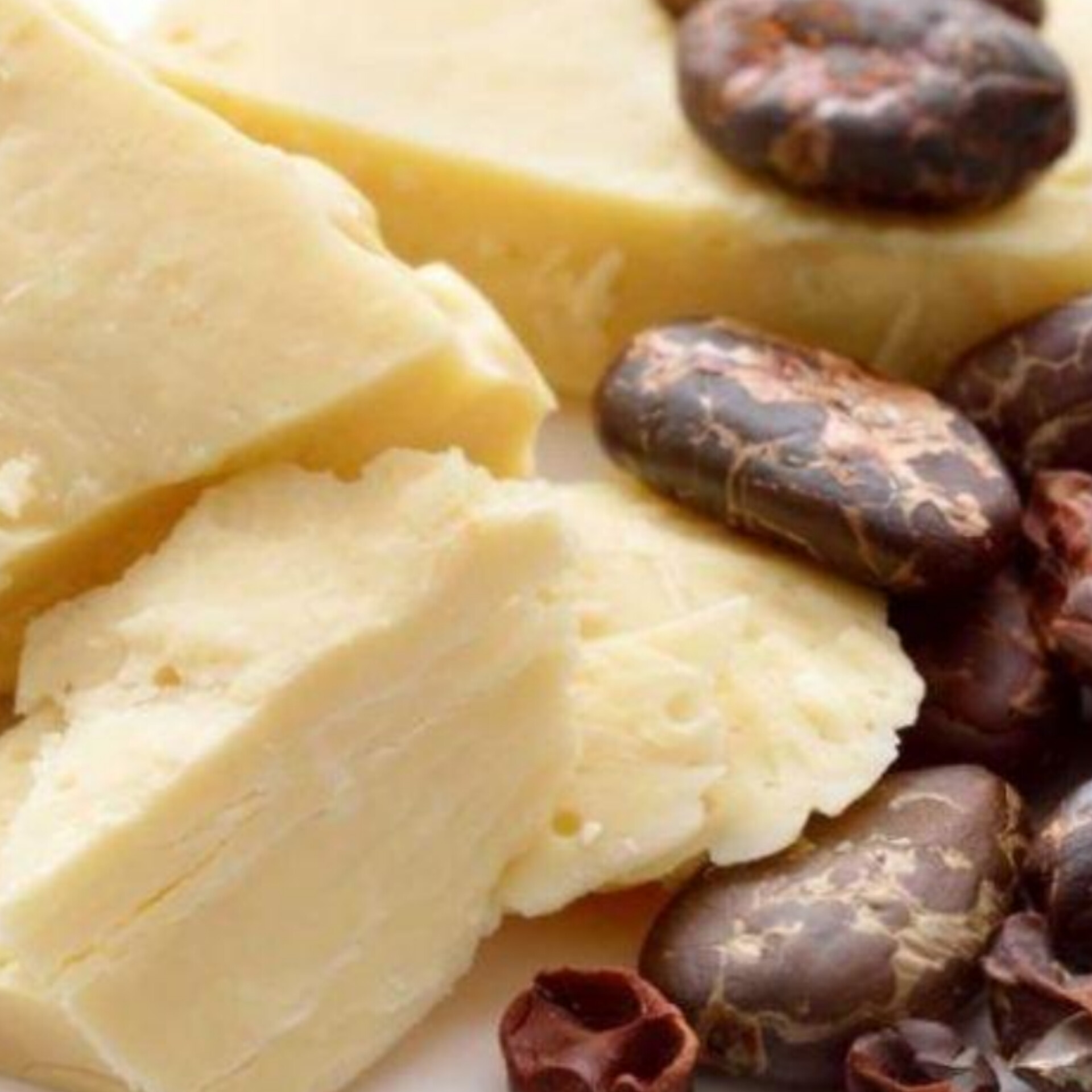 دهون CBE أوروبية لفلسطين