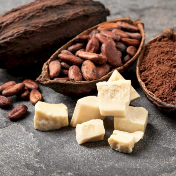 دهون CBE للمخابز في فلسطين