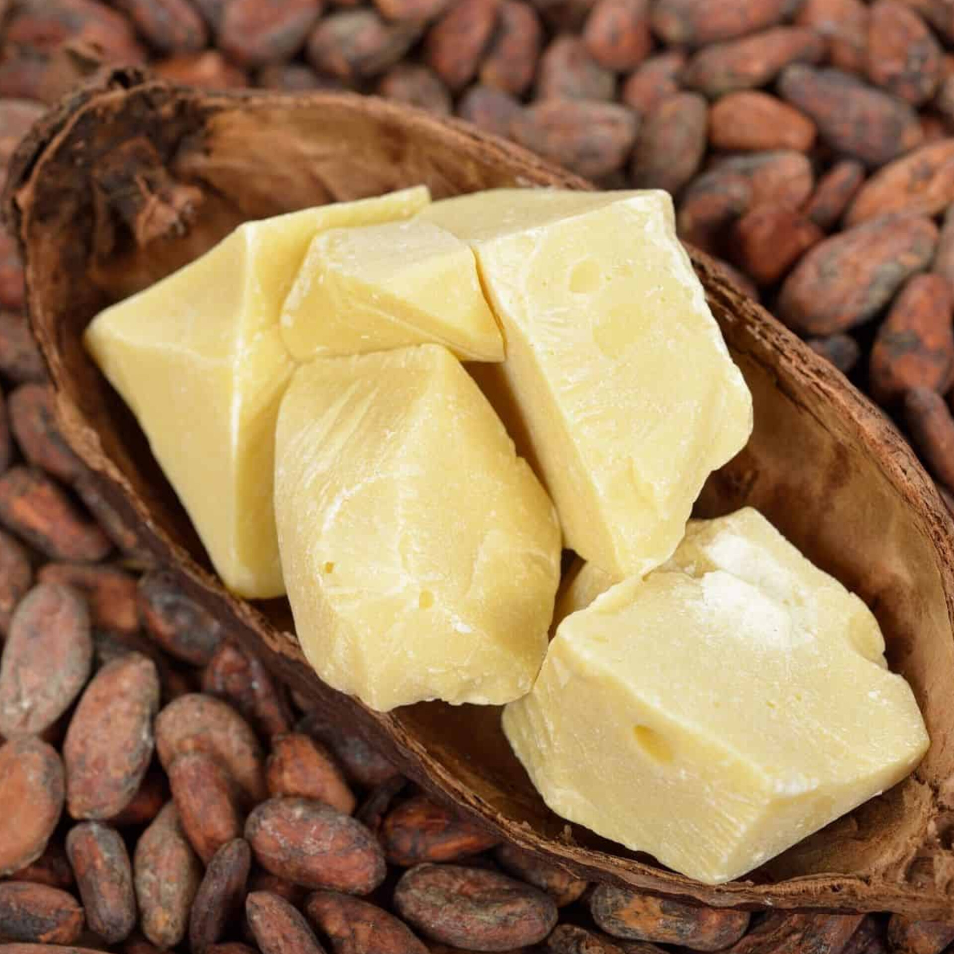 CBS سريع التصلب للسوق الفلسطيني