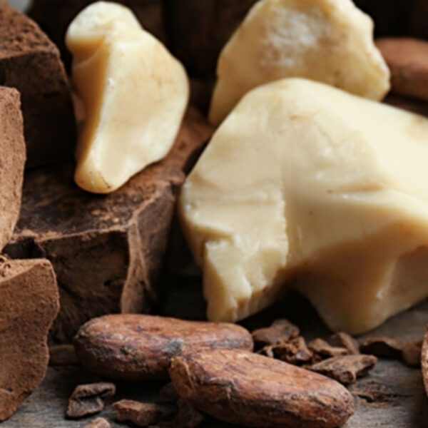 CBS ممتاز للمعامل الصغيرة بفلسطين