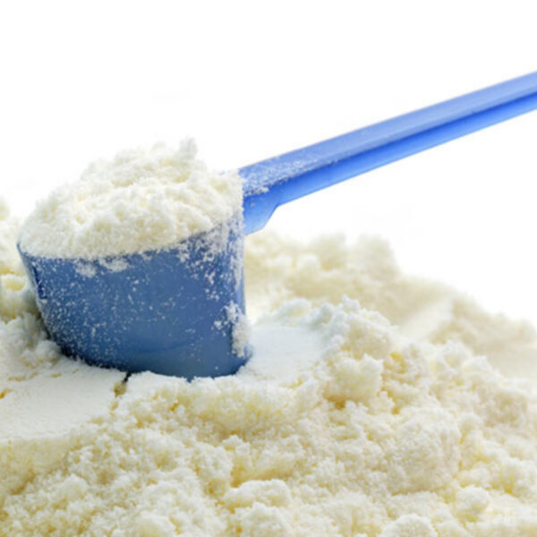 وين ألقى حليب بودرة تركي كامل بالجملة؟