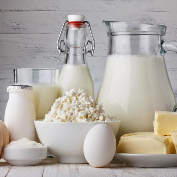 استيراد منتجات الألبان التركية إلى جزر القمر بأسعار تنافسية