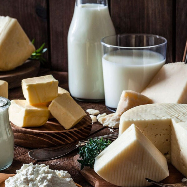 استيراد منتجات الألبان التركية إلى جزر القمر بأسعار تنافسية