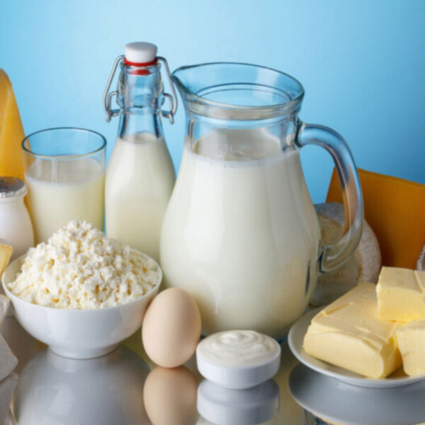 استيراد منتجات الألبان التركية إلى جزر القمر بأسعار تنافسية
