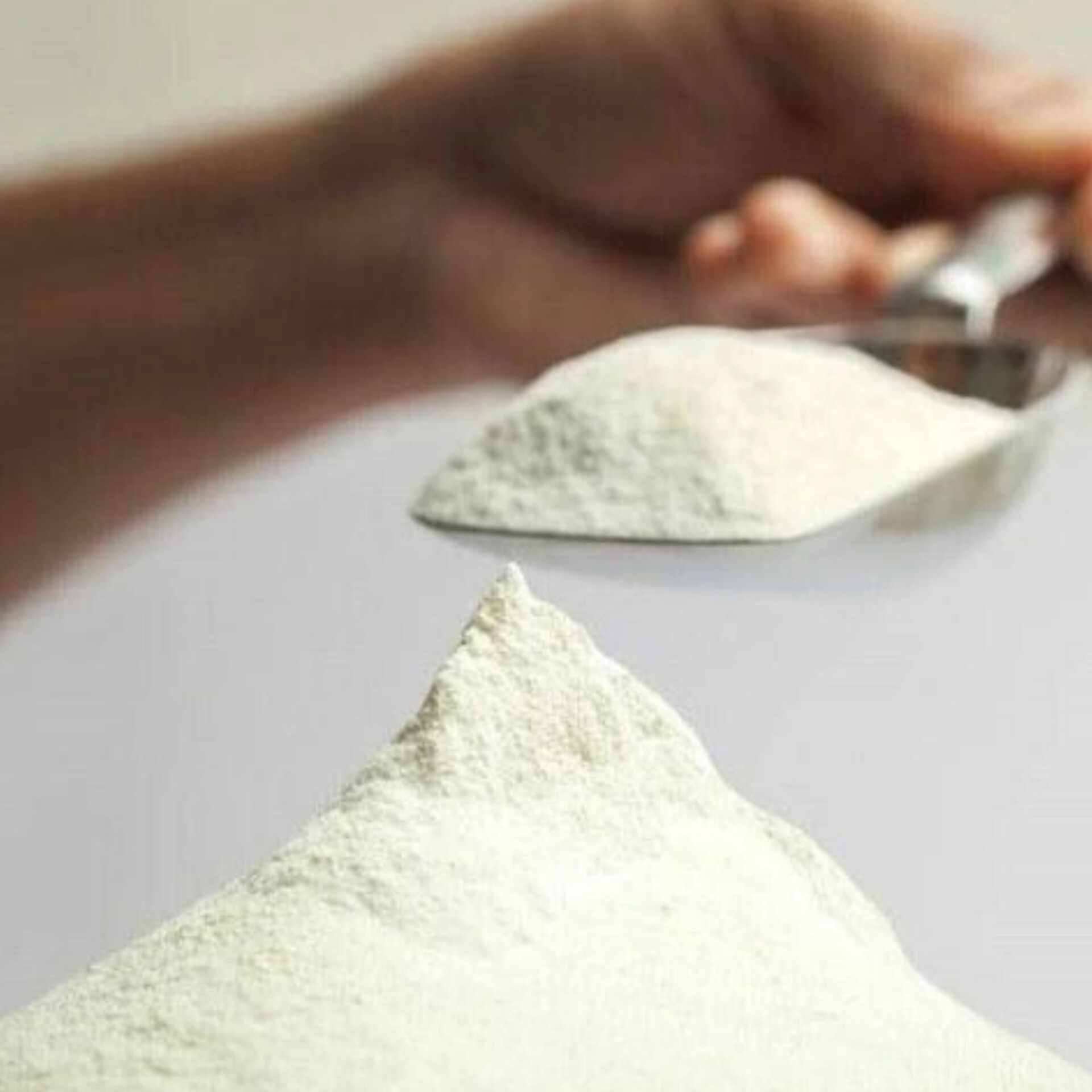 مساحيق ألبان أوروبية للصناعة الفلسطينية