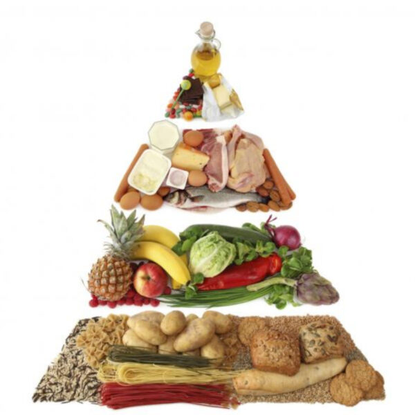 خطوات تحقيق أفضل استفادة من الصفقات الدولية للمواد الأولية للصناعات الغذائية