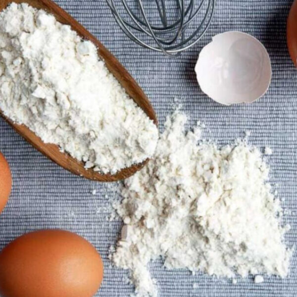 أين أشتري مسحوق البيض المجفف بالجملة؟