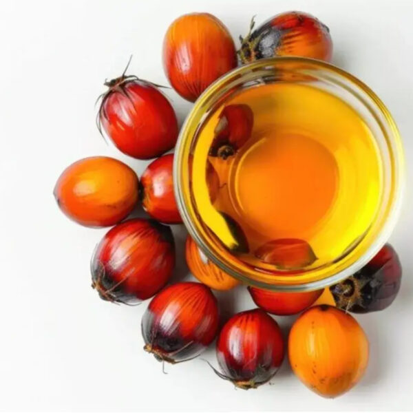زيت النخيل المكرر مستورد لقطاع الأغذية