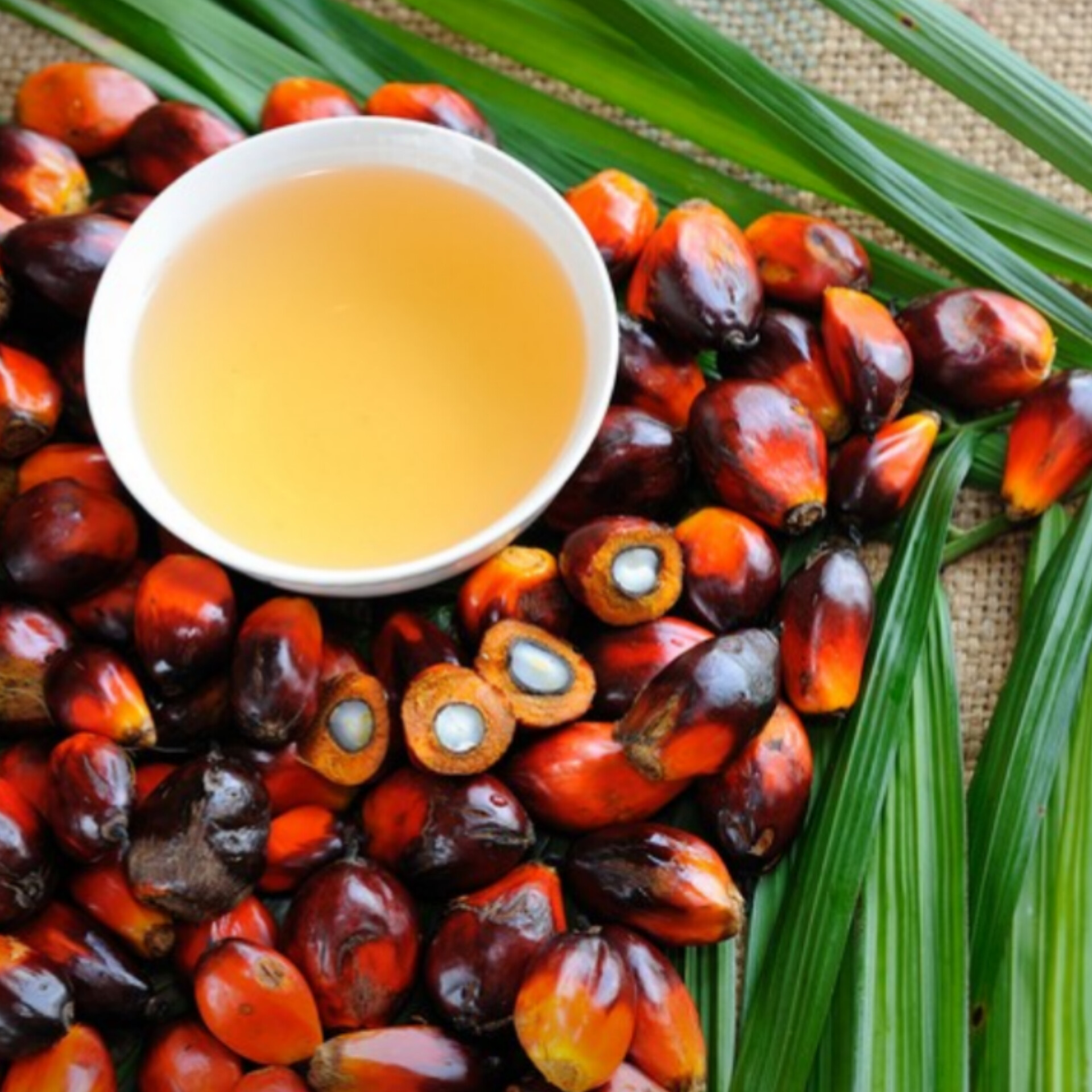 زيت النخيل المكرر مستورد لقطاع الأغذية