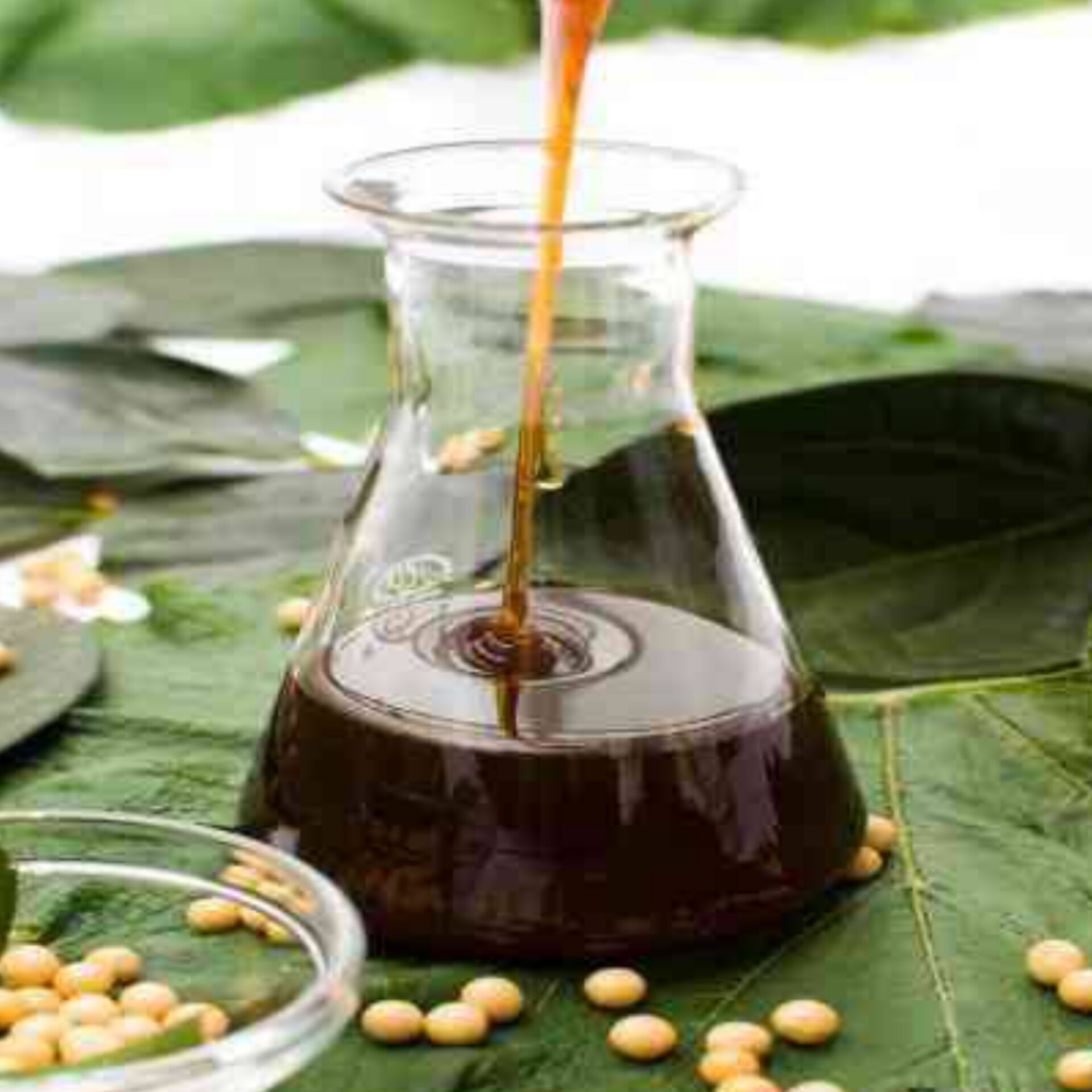 ليسيثين لتحسين القوام في المنتجات الغذائية