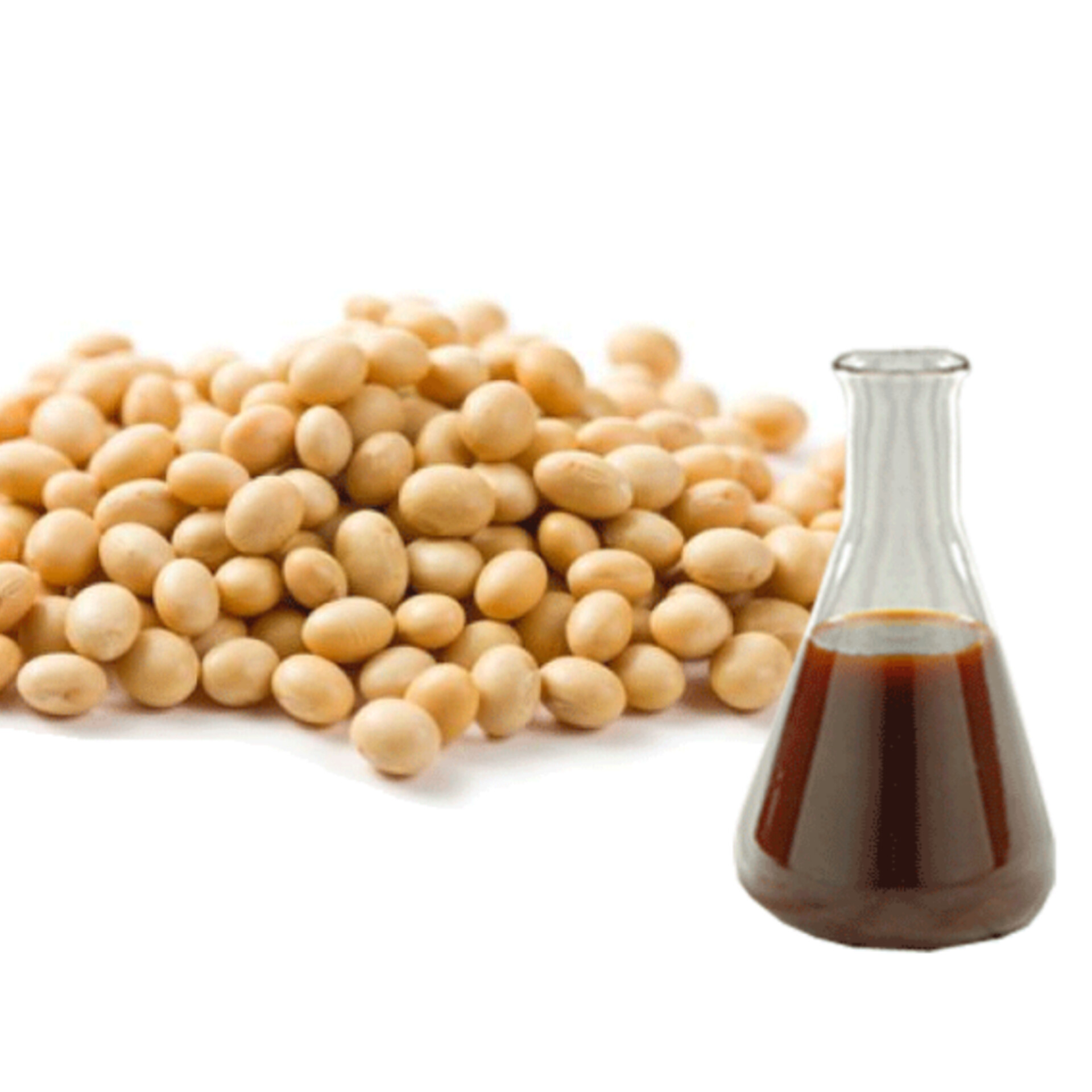 مورد ليسيثين عالي الجودة للصناعات الغذائية