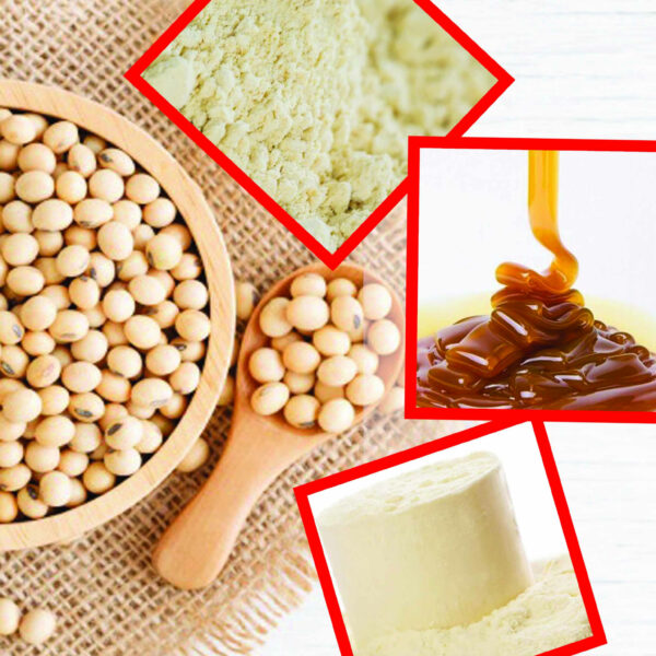 شراء ليسيثين غذائي نقي بالجملة