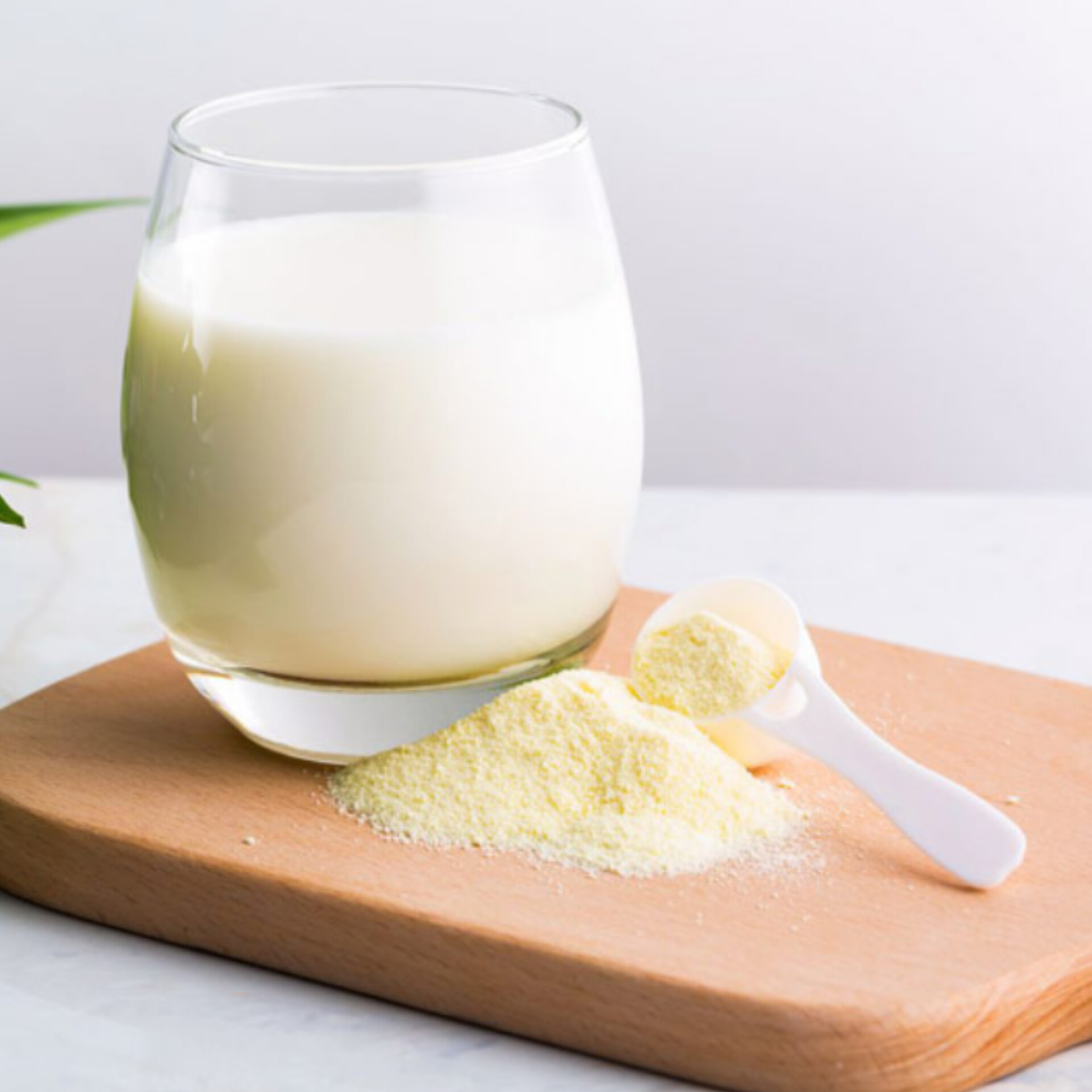 حل مشاكل الرطوبة في مسحوق الحليب