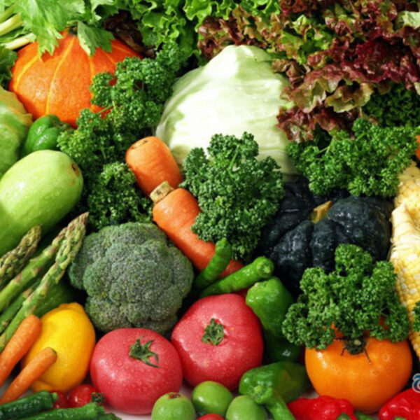 أهم القوانين المحلية عند استيراد المواد الأولية للصناعات الغذائية