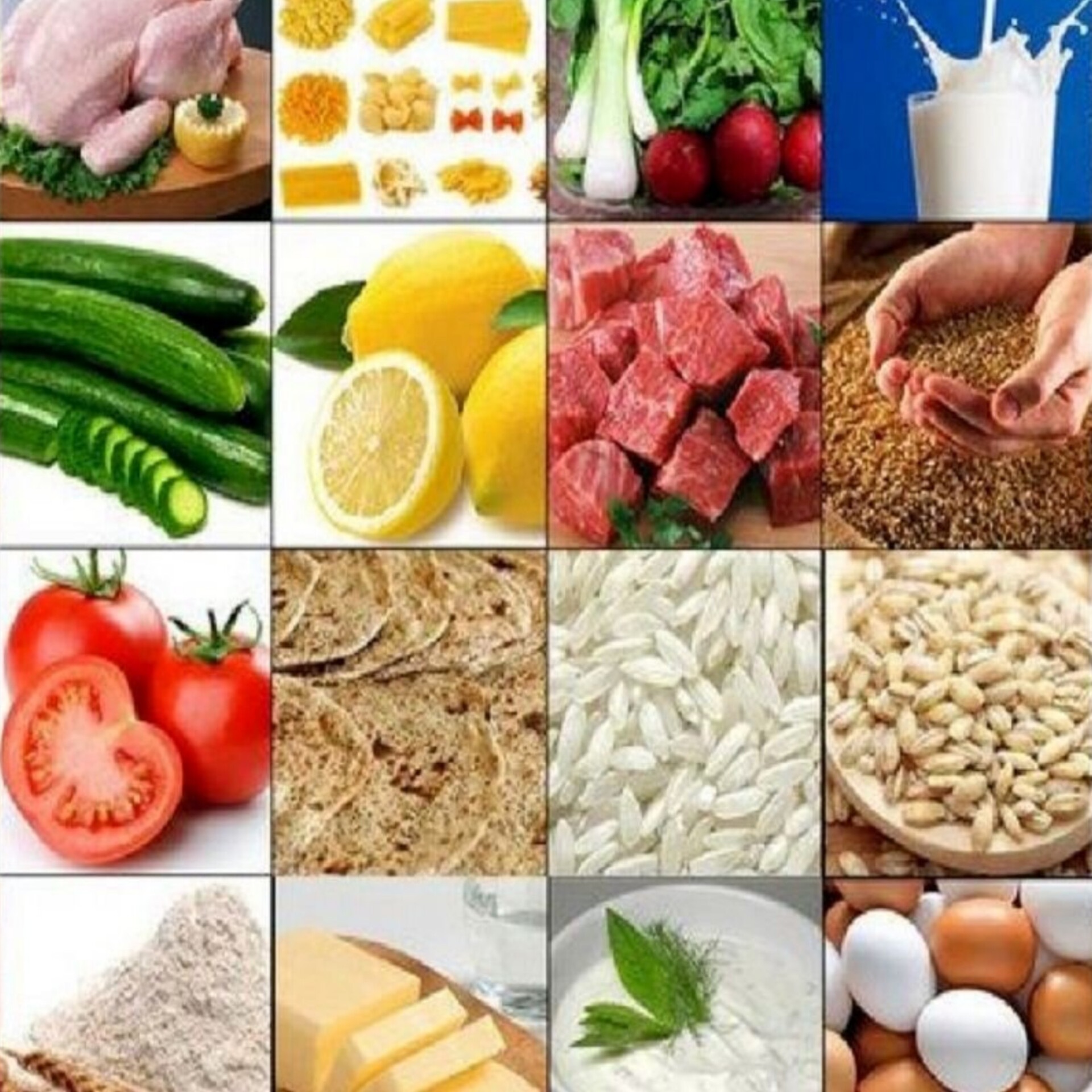 نصائح عملية لتقليل تكاليف استيراد المواد الأولية للصناعات الغذائية