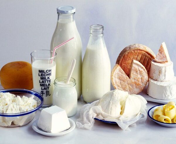 قائمة المواد الأولية لتطوير منتجات الألبان للمعجنات