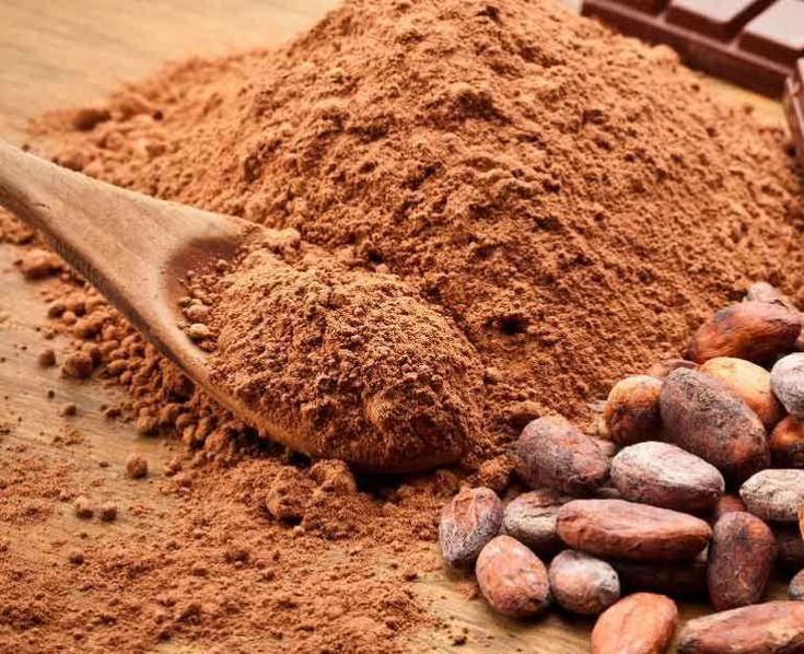 وين ألقى كاكاو بودرة لصناعة الكيك بالجملة؟