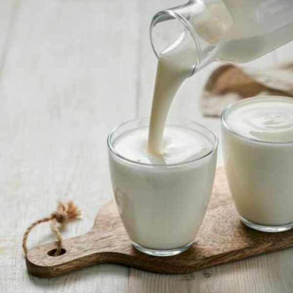 قائمة المواد الأولية لإنتاج منتجات الألبان بالجملة للمصانع