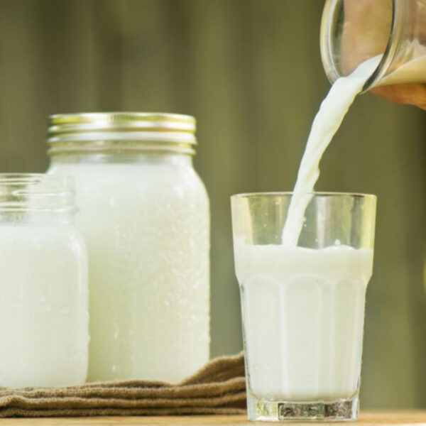 قائمة المواد الأولية لإنتاج منتجات الألبان بالجملة للمصانع