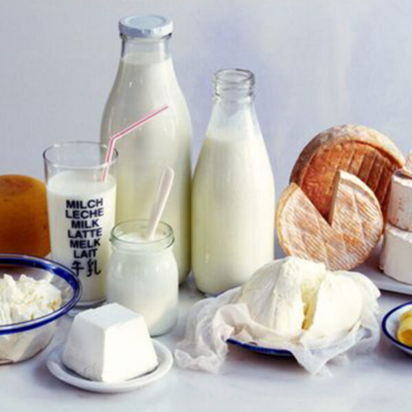 قائمة المواد الأولية لتحسين جودة الحليب السائل