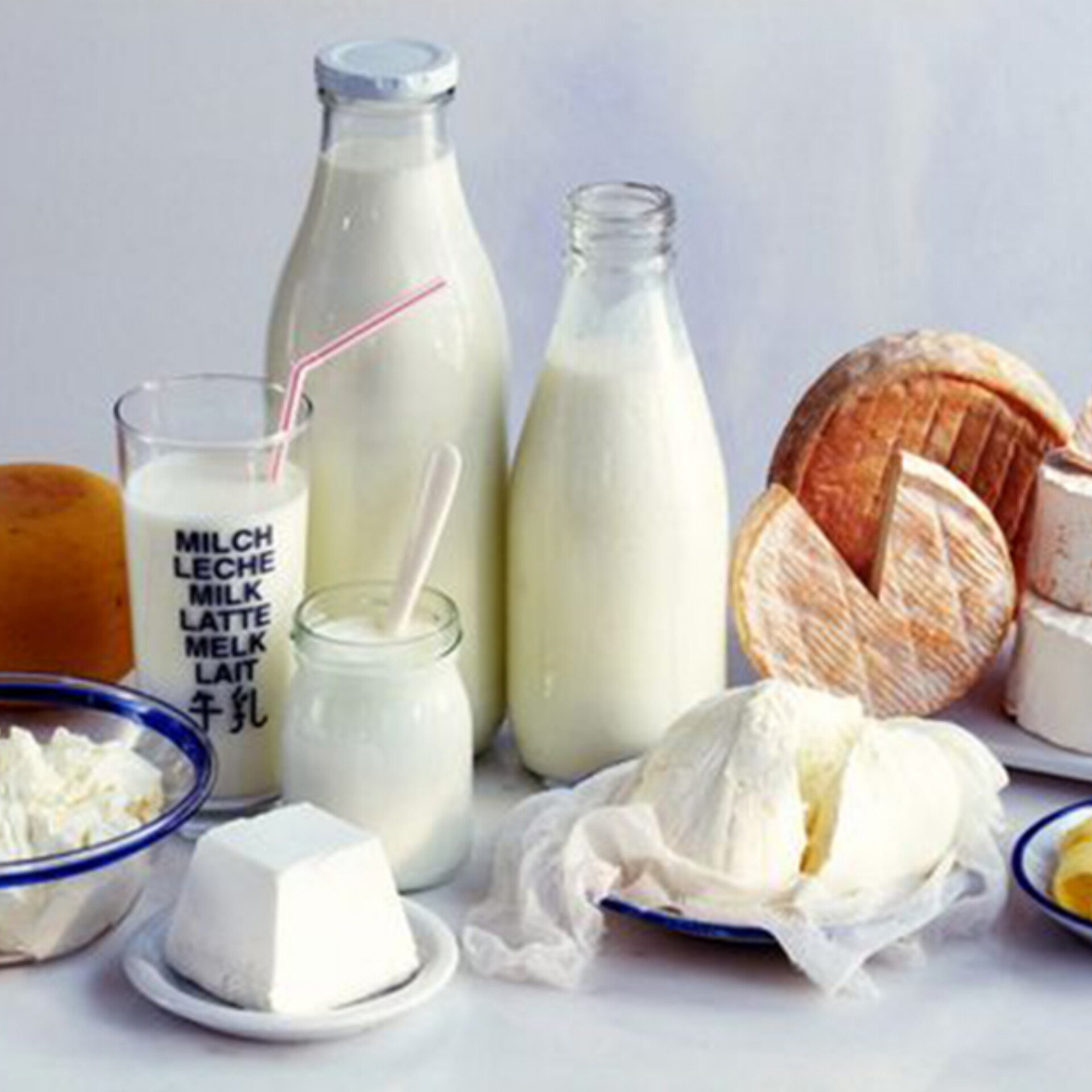 قائمة المواد الأولية لتثبيت قوام الحليب المجفف والجبن