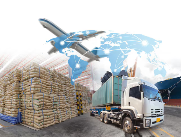 شركة استيراد تجارية من مصر