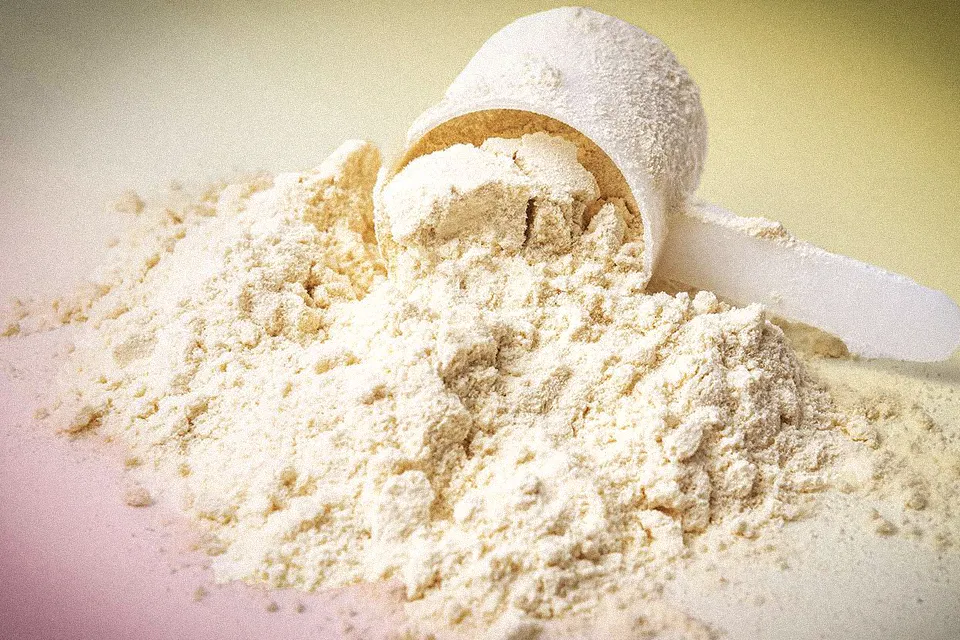 بروتين مصل اللبن المركز لمصانع الأجبان