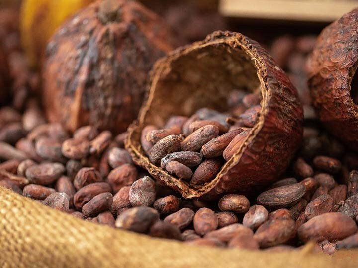 الفرق بين الكاكاو الطبيعي والقلوي في ليبيا