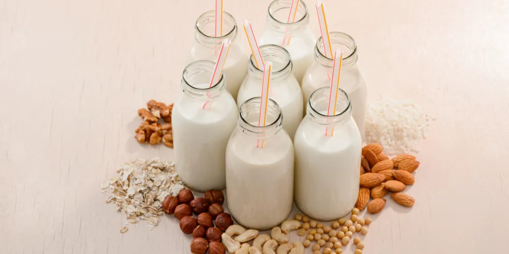 لاكتوز غذائي من تركيا لمنتجات الألبان والشوكولاتة