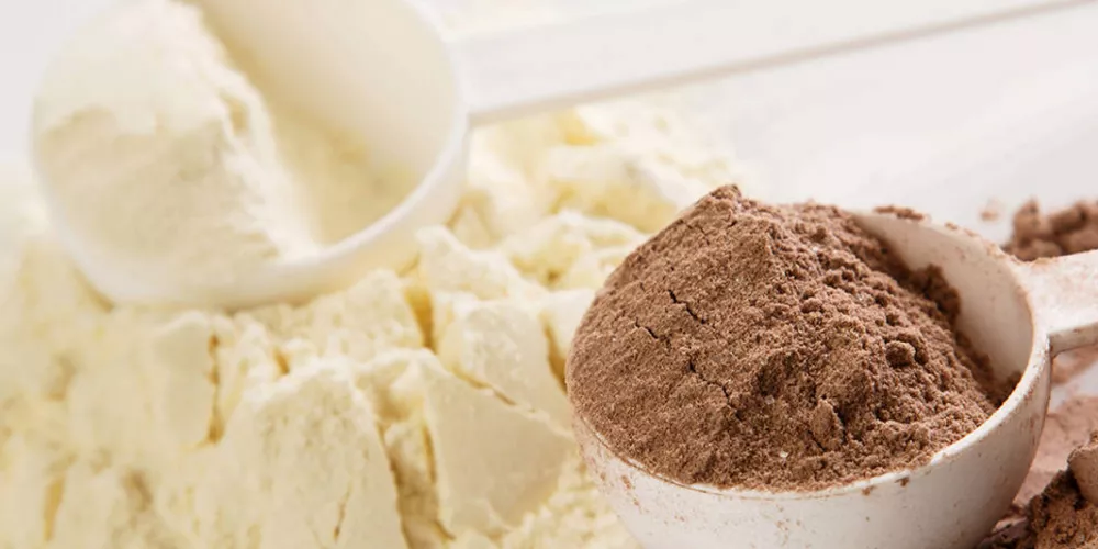 مصل لبن تركي Whey Powder