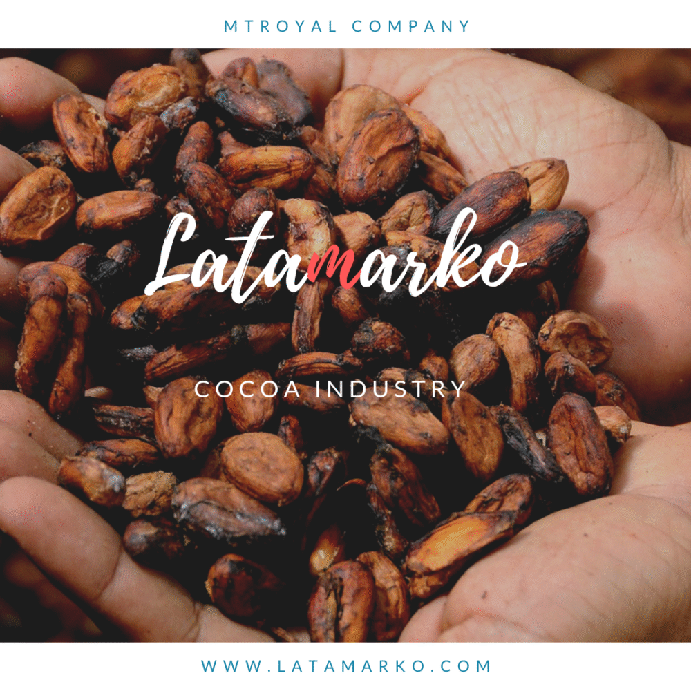 Quality Dried Cocoa Beans