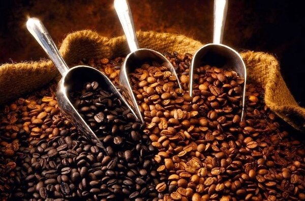 latamarko coffee