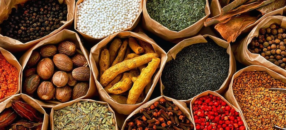 Food ingredients wholesaler in Turkey