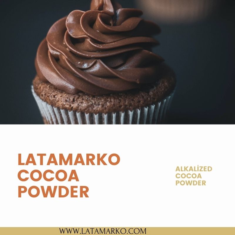 alkalized cocoa powder in Türkiye